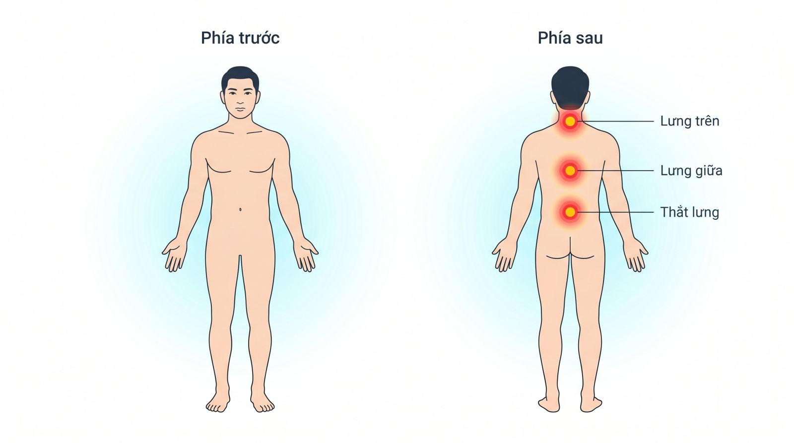 Các vị trí đau lưng và ý nghĩa sức khỏe tương ứng trên cơ thể người